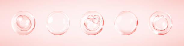 Pink collagen serum bubbles. Cosmetic essence. Concept skincare cosmetics solution. Vector realistic illustration Pink collagen serum bubbles. Cosmetic essence. Concept skincare cosmetics solution. Vector realistic illustration vitamin c chemical formula stock illustrations