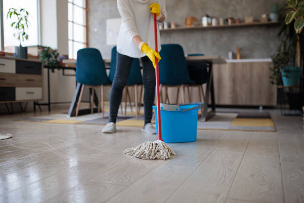 istock Unrecognizable woman cleaning her home 2160066420