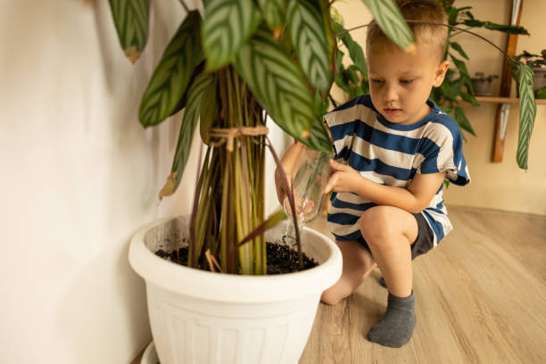 istock A boy with blond hair is watering the plants 2160072023
