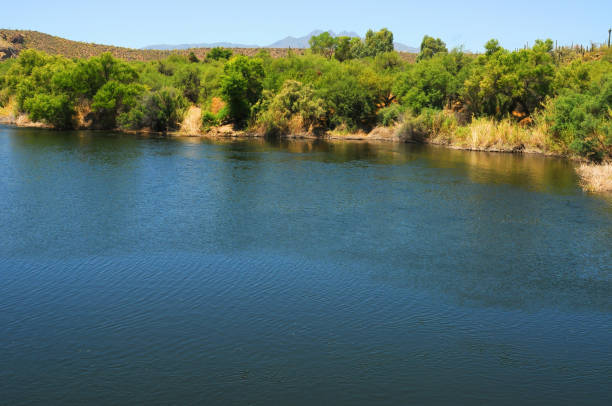 istock Salt River Recreation Area Arizona 2160073105