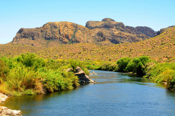 istock Salt River Recreation Area Arizona 2160073137