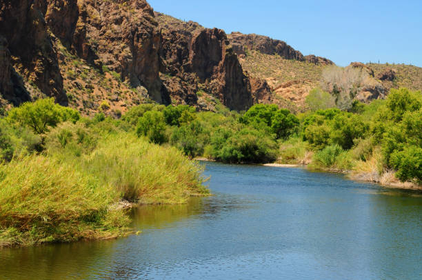 istock Salt River Recreation Area Arizona 2160073151