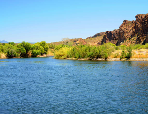 istock Salt River Recreation Area Arizona 2160073159