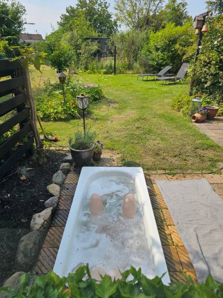 istock The beautiful Danish garden bathtub 2160074362