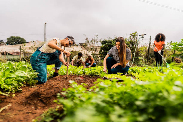 istock Coworker planting on community garden 2160078321