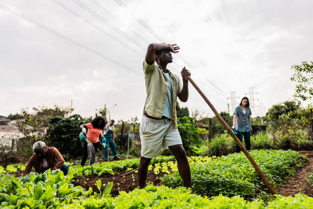 istock Tired young man working on a vegetable garden 2160078362