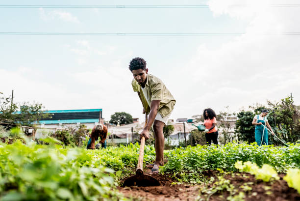 istock Young man weeding on a community garden 2160078364