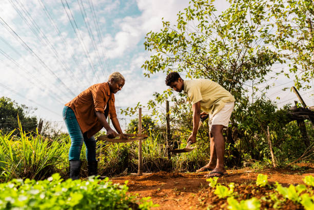 istock Mother and son working on a community garden 2160078514