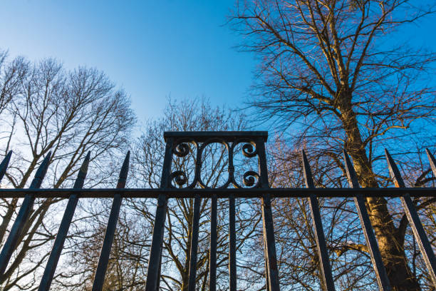 Iron fence in Park