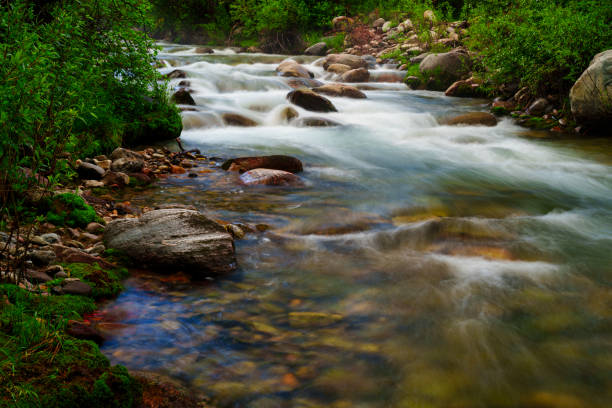 Wilderness Scenic Landscape with Creek - Mountain stream flowing through lush green summer foliage in wilderness area.