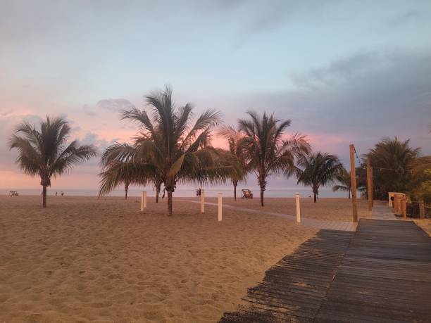 istock Palm trees and pink sunset with sand 2160083467