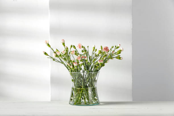 istock White tiny flowers in a glass vase with white wall background. 2160092508