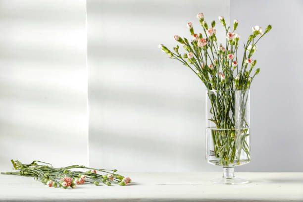 White tiny flowers in a glass vase with white wall background. Copy space for text and products. Montage and display for stuff and accessories.