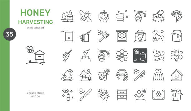 Honey Harvesting Vector Icons Set. Beekeeping Tools, Honey Extraction, Beehives, Bees, Honeycomb, Nectar, and Organic Honey. Editable Linear Collection. Honey Harvesting Vector Icons Set. Beekeeping Tools, Honey Extraction, Beehives, Bees, Honeycomb, Nectar, and Organic Honey. Editable Linear Collection. honey stock illustrations