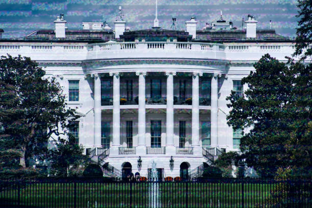 Democratic National Convention 2024 President