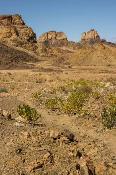 An empty trail leading through the barren rocky environment of the Fish River Canyon, with Four Finger rock in the background. The Fish River Canyon has a length of 160km and are up to 550m deep, making it the world’s second largest Canyon. un sendero vacío que conduce a través del entorno rocoso estéril del cañón del río fish, con la roca four finger al fondo. el cañón del río fish tiene una longitud de 160 km y tiene hasta 550 m de profundidad, lo que lo convierte en el segundo ca�