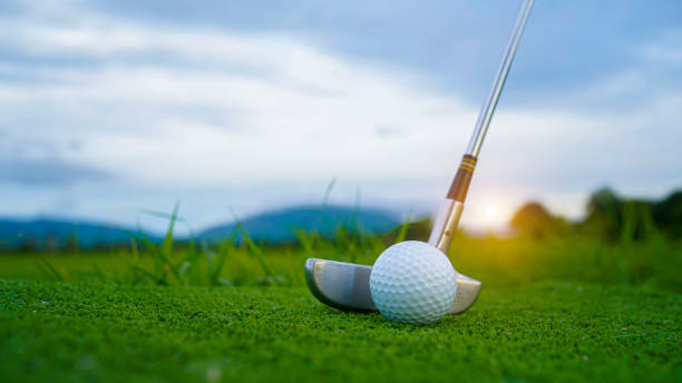 istock Golf ball and wooden driver on green grass background. 2160099539