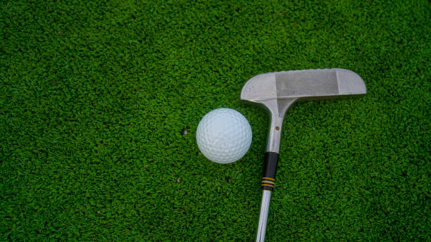 istock Golf ball and wooden driver on green grass background. 2160099565