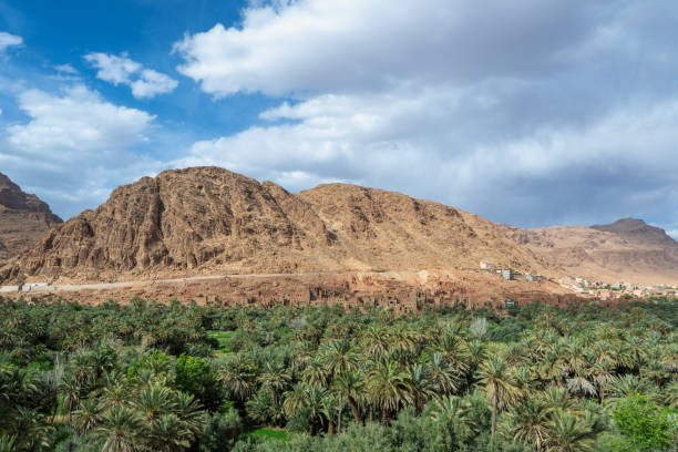istock Verdant Oasis at Todra Gorges, Morocco. 2160105364