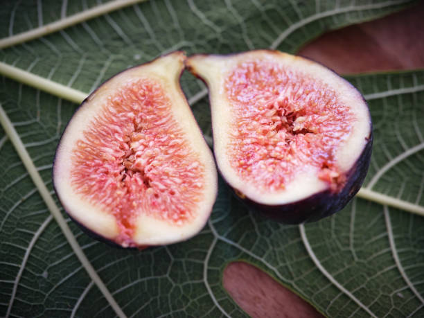 istock Closeup halved syconium on leaf 2160106296