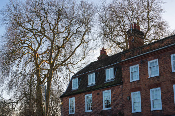 classic Victorian Architecture, ornate detailing, decorative brickwork, bay windows, Edwardian Architecture, red brick facades, Georgian Architecture and use of brick or stucco. Stucco Facades. Traditional Brick Facades, Rows of Terraced Houses, and Plant-Covered Buildings in Notting Hill & Holland Park, Royal Borough of Kensington and Chelsea, Greater London, United Kingdom.