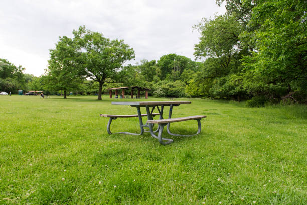 istock Park Picnic table bench rest relax outdoors. Benches and tables on green grass in recreational area. 2160106885