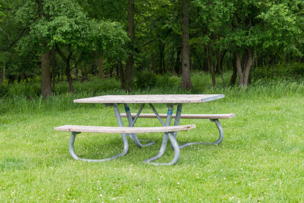istock Park Picnic table bench rest relax outdoors. Benches and tables on green grass in recreational area. 2160106887