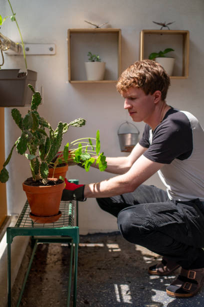 istock Young Man Gardening on His Sunny Balcony 2160106915