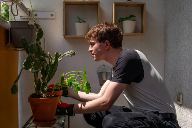 istock Young Man Gardening on His Sunny Balcony 2160106917