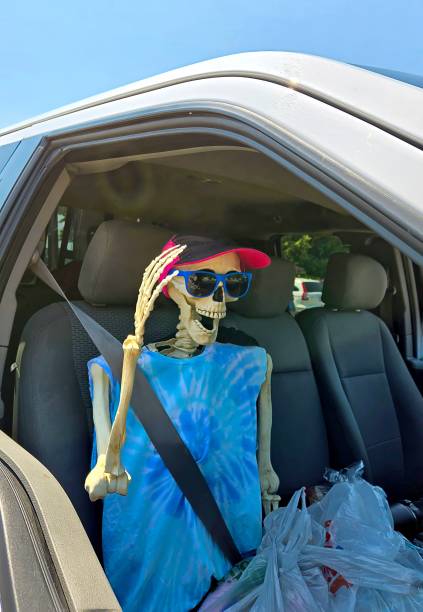istock Skeleton Wearing a Seatbelt 2160107373