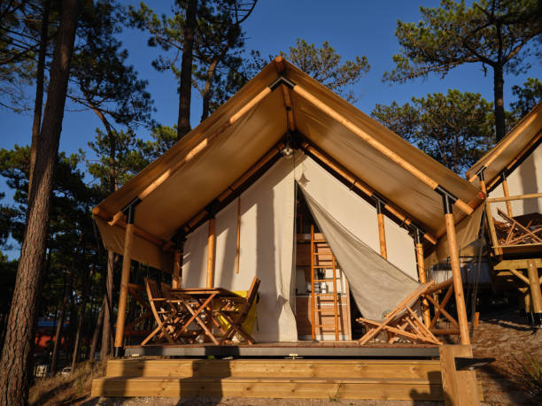 istock Glamping campsite in coniferous forest 2160110761