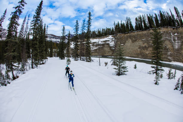 istock Cross-Country Ski Classic Technique 2160111329