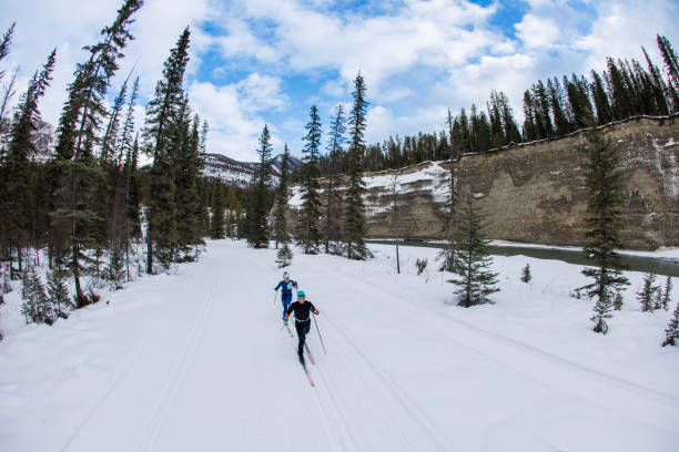 istock Cross-Country Skiing 2160111499