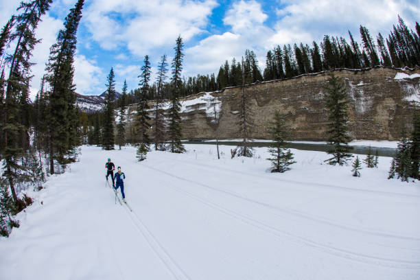 istock Classic Technique Cross-Country Skiing 2160111500