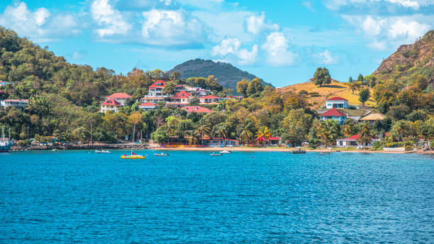 A quiet and peaceful bay in Terre De Haut, Guadeloupe. Surrounded by tree covered hills dotted with villas, the sunny bay has a few small fishing boats moored just off the palm tree lined beach.