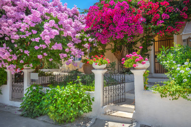 Traditional white house with flowerpots at Kefalonia island, Greece