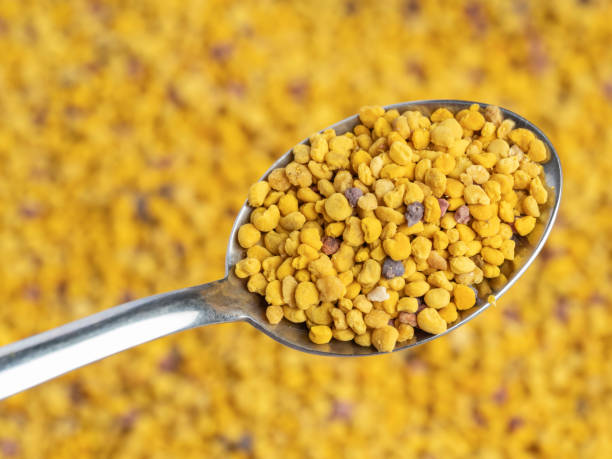 istock Bee pollen in a metal spoon 2160117989