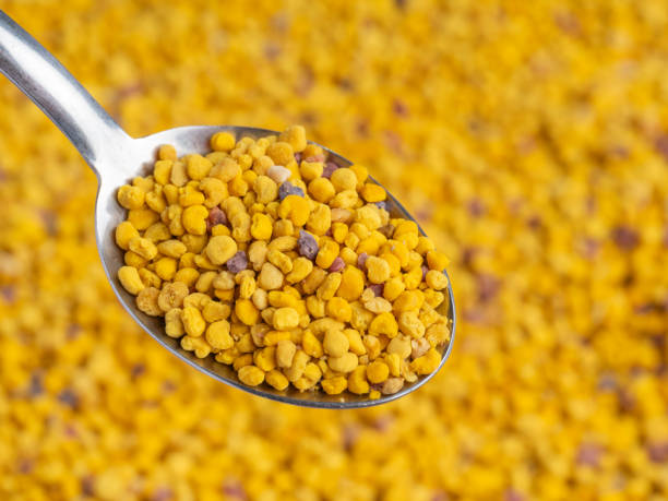 istock Bee pollen in a metal spoon 2160117991