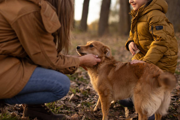 istock Mother and son petting dog 2160118297