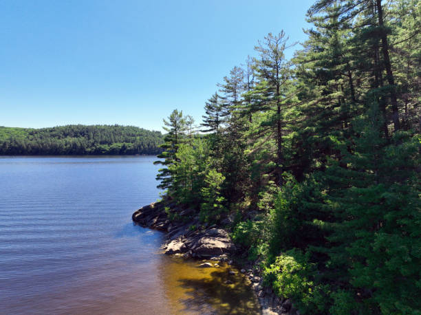istock Forested rocky shore on the Ottawa River 2160120181