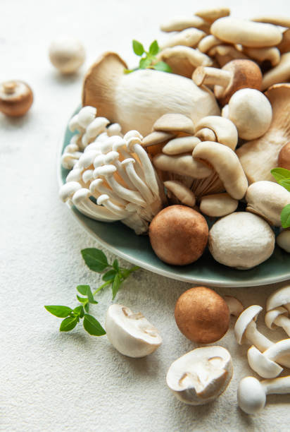 istock Assortment of various raw mushrooms on gray concrete background 2160123820
