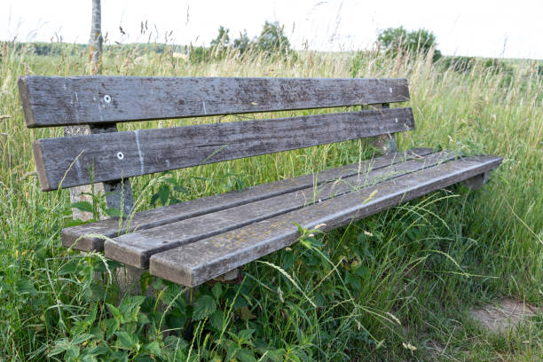 istock Wooden bench in the country 2160125218