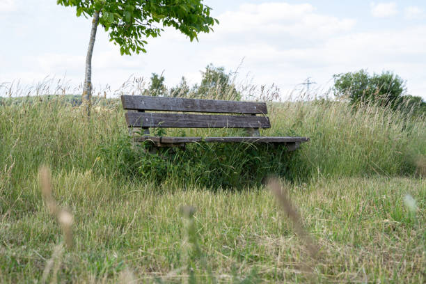 istock Wooden bench in the countryside 2160125219