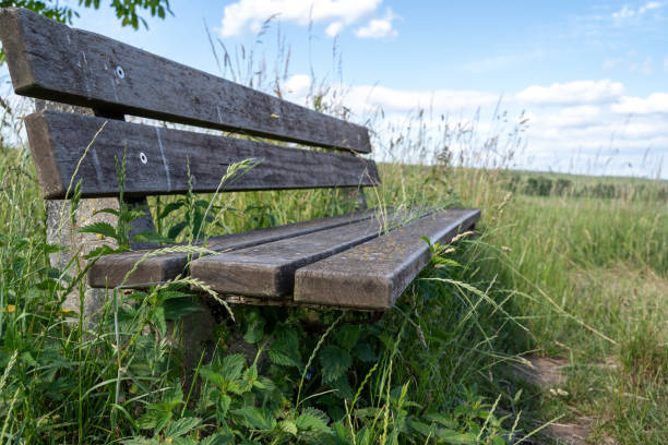 istock Wooden bench in the landscape 2160125233