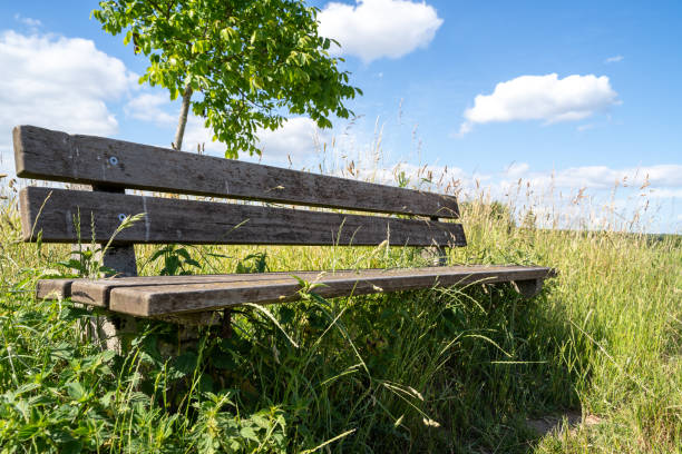 istock Wooden bench in the landscape 2160125284