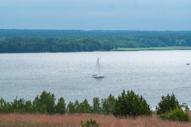 A lone sailboat glides across a peaceful lake surrounded by lush green forests under a cloudy sky.