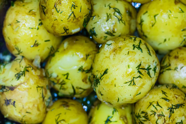 Close-up view of boiled potatoes garnished with fresh dill. The detailed shot captures the vibrant yellow color and the herb-infused texture of the potatoes, making it ideal for use in culinary and food-related projects.
