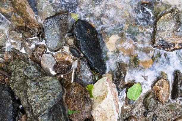 Multicolored rocks in a mountain stream with green leaves.