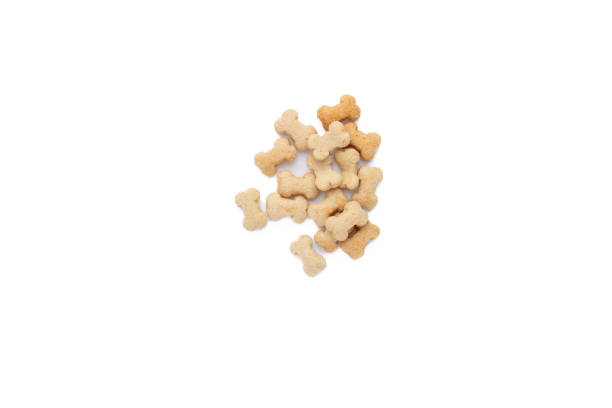 istock Some bones shaped dog reward snacks with white background. 2160130078