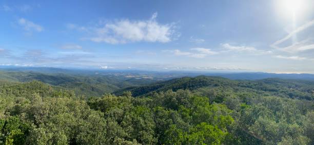 istock Beautiful green forest panoramic landscape on a blue sky in Costa Brava, Girona 2160130174